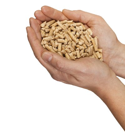 pellets